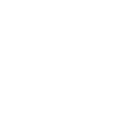 dpi logo