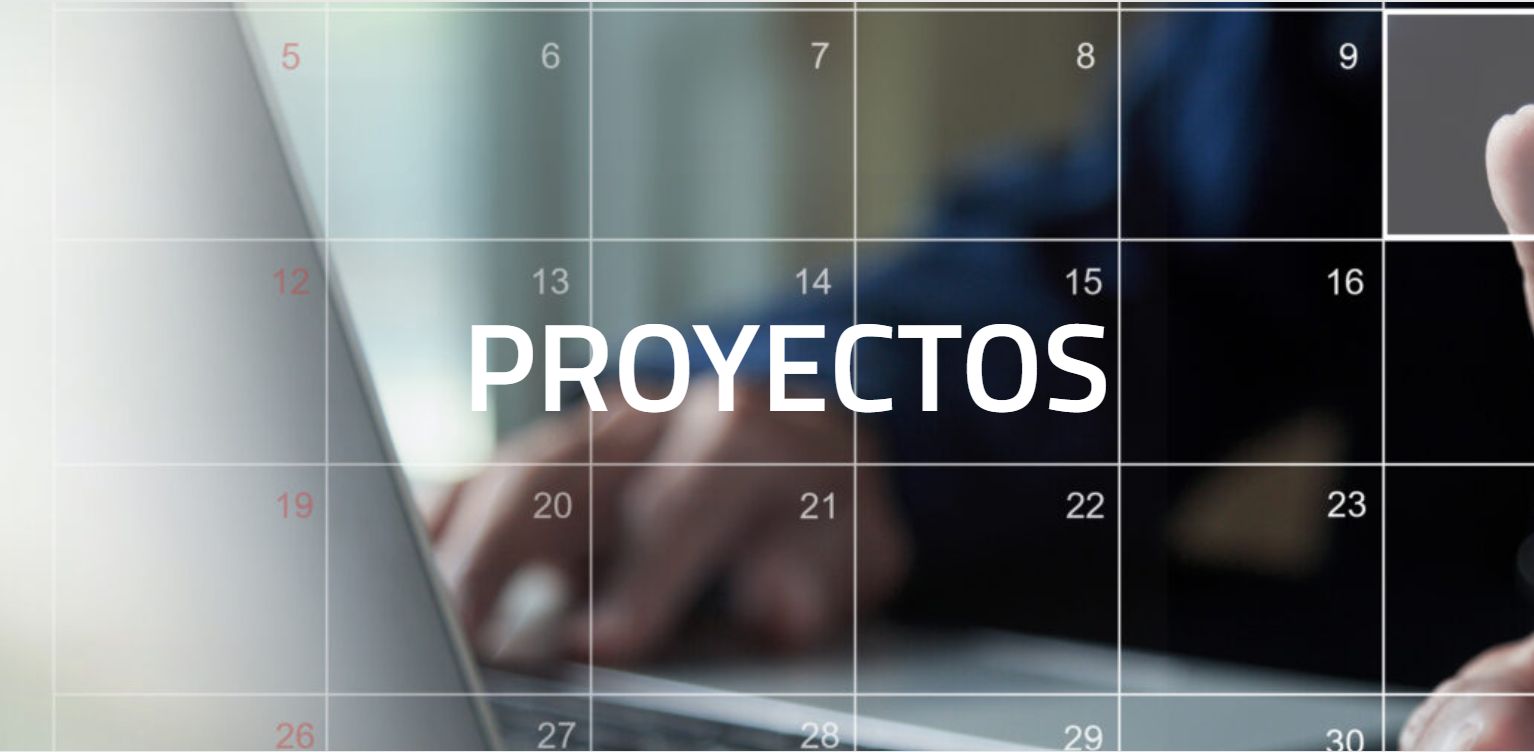 Recopilatorio de los proyectos realizados en el 2025