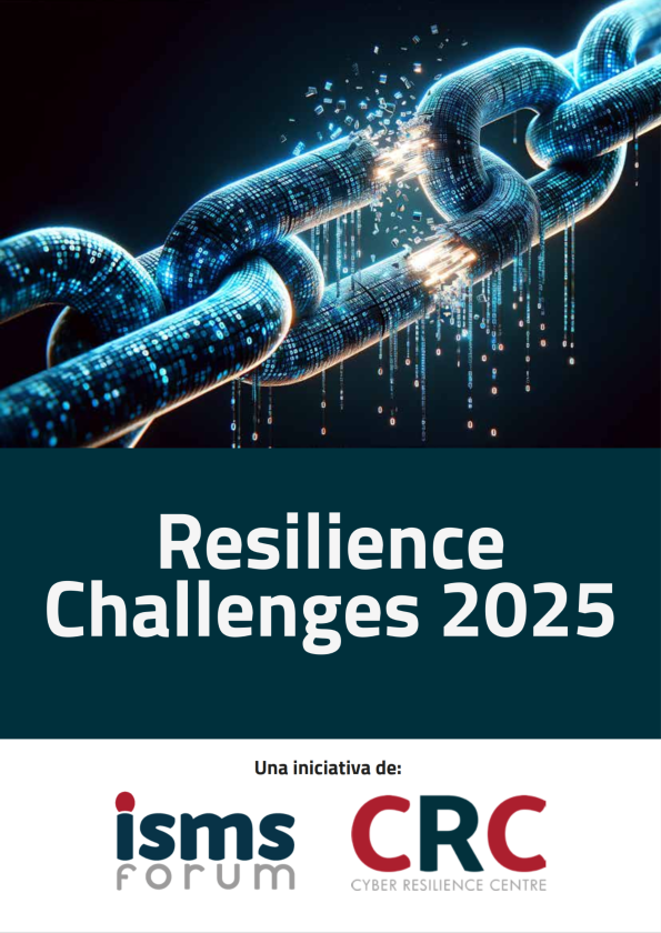 Ciber resilience Challenges